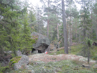 Vildmarksterrng
