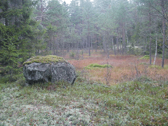 Flera stora sankmarker finns i omrdet