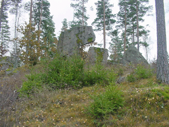 Naturen har skapat en del konstiga formationer