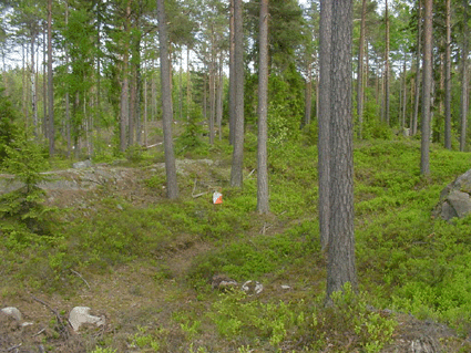 Snkan uppe i