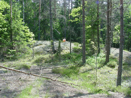 Hjden