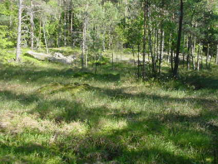 Stor sankmark