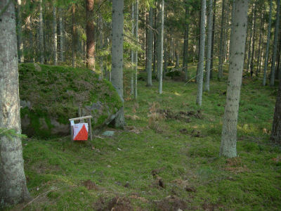 Stenen i öppen storskog