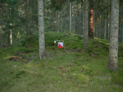 Höjden foten