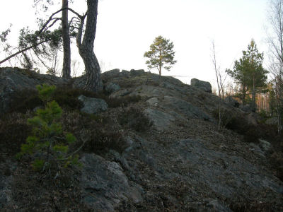 Stenhäll