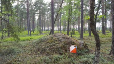 På långfredagens långdistans får alla orientetrare prova på den mest öppna terrängen på Söderåkrakartan. Varmt välkomna till fantastiskt fin orientering!