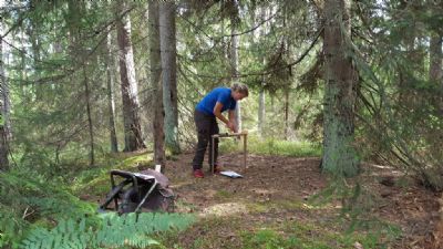 Maria gör i ordning den kluriga kontrollen höjden i ett av områdena med lite tätare skog. 