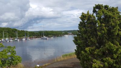 Havs-OL 2017 gick på Tjärö. Här syns kön på bryggan som hade en härlig utsikt i idyllen.