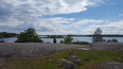 Havs-OL på Tjärö är verkligen nära havet. 2017 var det tredje gången vi fått springa på den otroligt idylliska ön.