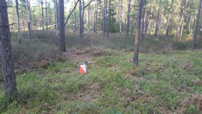 Terrängbild från Söderåkraskogen. Det är dagen innan vår nationella tävling i Söderåkra 5 maj 2018.