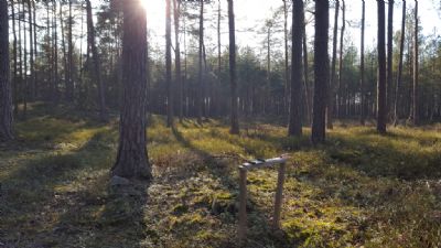 Kontrollen höjdfoten vänatr på besök i den läckra terrängen. Överliggarna är nu på väg ut och det arbetet blir klart i helgen.