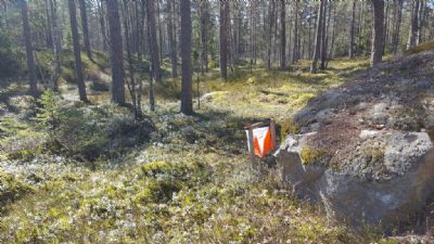 Stenen väntar på besök. Kanske är det du som har kontrollen på fredag...