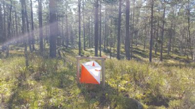 Det har varit en hel löpare som testat Söderåkraterrängen i sommar.