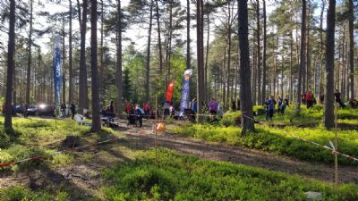 En helt vanlig dag i skogen... Som orienterare blir man bortskämd med fina upplevelser. Här en bild från vår etapp av U 5-dagars i Söderåkra 2019. Världens vackraste arena!