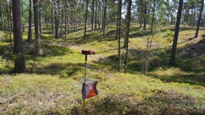 Vi kommer åter att få springa i drömterrängen på Ängjärnsuddenkartan. 