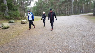 Träningsdag på Öland under sportlovet 2020. Här är Waxegårds på Homrevets parkering som var ovanligt tom. På sommaren kan det vara svårt att få en plats över huvud taget. Terrängen var dock lika fin som vanligt och det går utmärkt att orientera där vintertid.