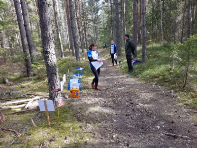 Det är nu tredje gången i år vi arrangerar närtävlingar tillsammans med grannklubbarna. Första gången var Påskcupen då vi höll till i Söderåkra på Torsås OK:s etapp. Andra gången var Gränskvartetten då vi var i Bodhyltan. Vid Gränsdagars kommer vi att vara i Tuthult fredagen 24 juli. Varmt välkomna då!