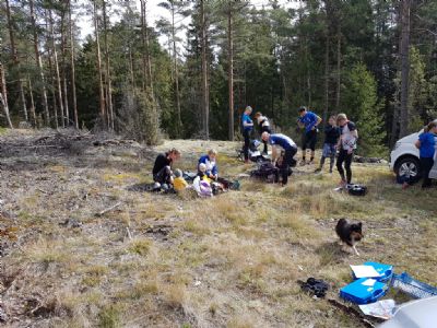 Förberedelser för alla åldrar inför Dart-OL i Tuthult.