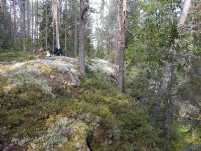 Ett litet vildmarksområde i Glosebo i den nya delen av Gulllabokartan.