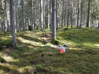 Nu är det åter dags att ge sig ut i Gullaboterrängen. Det väntar en blandning av lättlöpt och tuff terräng. Varmt välkomna!