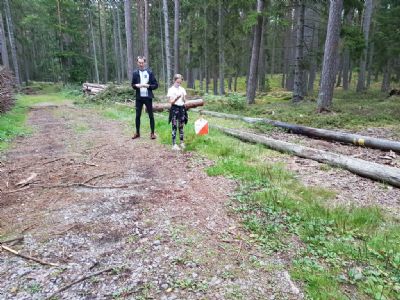 Moa Heideman, ny i Torsås OK för året, stämplar vid kontrollen stigförgreningen. Moa springer i HD 13-16 Lätt.