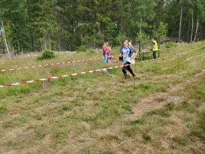 Tea springer in på näst sista sträckan, en damsträcka.