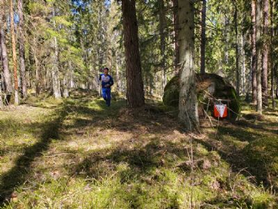 Isak Bergman, OK Skogsfalken, på väg mot ettan i det öppna partiet som följde efter startpunkten.