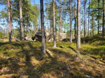 Fint och tufft område i söder på Gullabokartan.