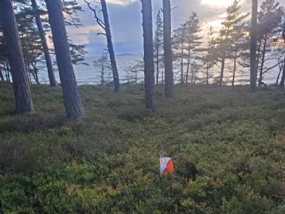 Utsikt från en av kontrollerna på första passet. Blå jungfrun syns mellan träden vid den strandnära kontrollen.