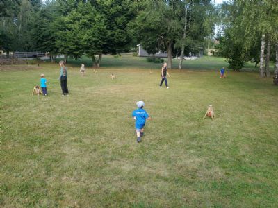 Under sommarkväll vid stugan 2023 var det full fart på de minsta då de sprang en slumporientering i trädgården.
