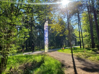 Sunelyckeskogen badade i sol och vi hade bästa tänkbara förutsättningar. I och för sig var myggen ordentligt vakna.