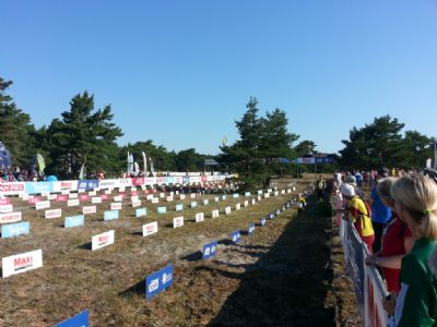 Så kan också ett upplopp se ut! Här är målfållorna i Frisebodas sandfält under 5-dagars i Skåne 2014.