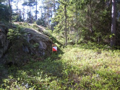 Härlig terrängbild från Bodhyltan. Det är det flacka stenhällsområdet som många av banorna vid DM gick genom i början.