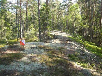 Terrängbild Bodhyltan