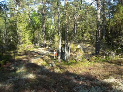 Det blir en hel del riktigt fin terräng på tisdagens träning liksom på veteranorienteringen dagen efter.