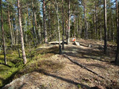 Terrängbild från Bodhyltan. Åsen som går ut i sankmarken.