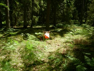 Terrängbild från Torsås Södra-kartan