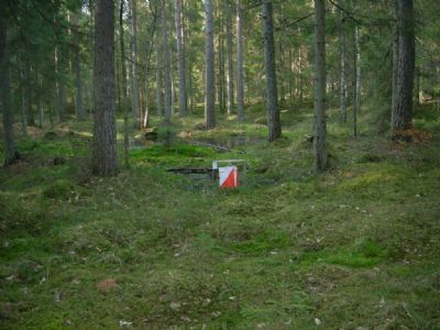 Härlig terräng i Degerhyltan. Kontrollen sankmarken inför vår tävling 2009. 