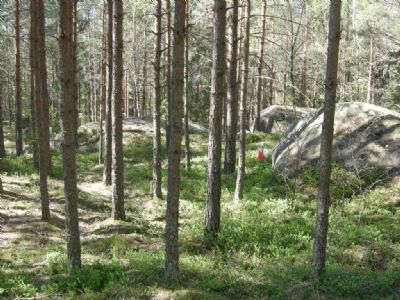 Kontroll vid Torsås OK:s tävling i Degerhyltan 2009. Stenen södra sidan heter den fina kontrollen.