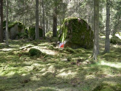 Det blir en teknikträning i den härliga terrängen i Degerhyltan!