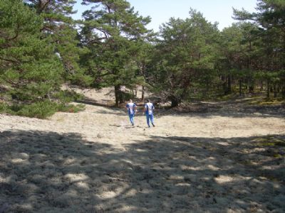 Tony och Tommy i sandfälten under Ölandslägret i somras.