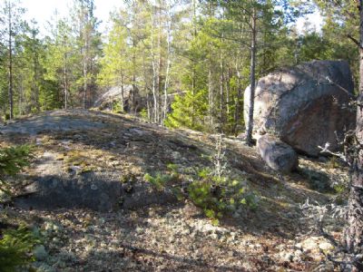 Nu v&auml;ntar en st&ouml;rre tr&auml;ning i Gullaboskogarna p&aring; torsdagskv&auml;llen!