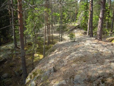 Bild från terrängen på vårt nya kartområde i trakterna av Bodhyltan. Kartan kommer börja ritas nu under våren 2011. Det ska bli riktigt spännande med en ny karta!