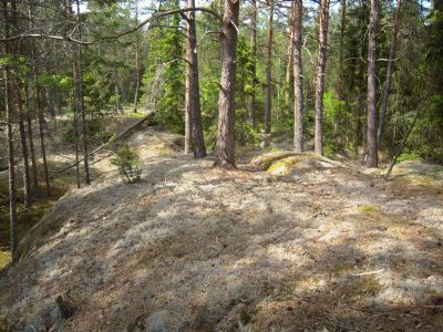 Terrängbild från vår kommande karta i trakten av Bodhyltan.