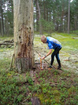Tobias har hittat kontrollen vid d&ouml;da tr&auml;det p&aring; &Ouml;landsl&auml;gret