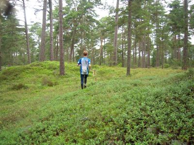 Stephen på väg till kontrollen på kalenderorienteringen under sommarens Ölandsläger.