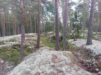 Drömterräng som vi ännu inte karterat i Kärramålen, nordost om Bodhyltankartan.