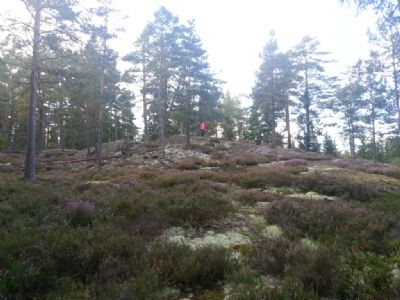 Nära vår karta i Bodhyltan finns ett fantastiskt fint område vi inte fått kartera än. Maria står uppe på en av många öppna höjder med spännade formationer.