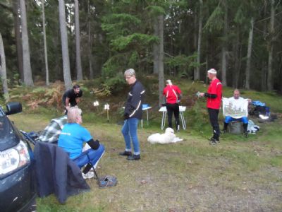 OL-träning i Sunelycke vid pistolskyttebanan. Observera Hasses klassiska badlakan från O-ringen någon gång på 1800-talet.