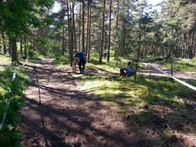 Magnus stämplar vid sista kontrollen på Sprinthelgen i Höga Sand.